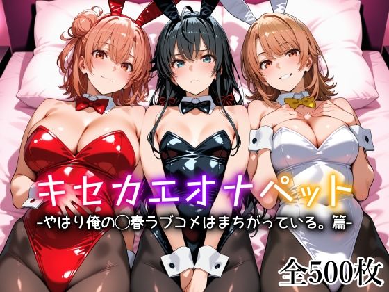 【制服】キセカエオナペット -やはり俺の◯春ラブコメはまちがっている篇-❤愛玩ファクトリー｜評価5.00