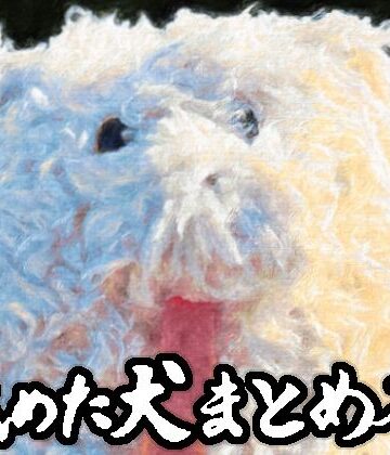 【ギャグ・コメディ】舐めた犬まとめ本❤舐めた犬｜評価4.86